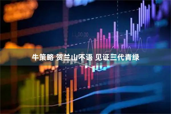 牛策略 贺兰山不语 见证三代青绿