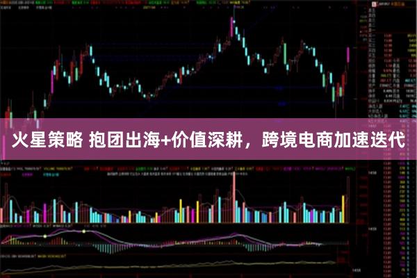 火星策略 抱团出海+价值深耕，跨境电商加速迭代