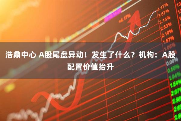 浩鼎中心 A股尾盘异动！发生了什么？机构：A股配置价值抬升