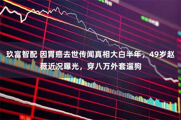 玖富智配 因胃癌去世传闻真相大白半年，49岁赵薇近况曝光，穿八万外套遛狗