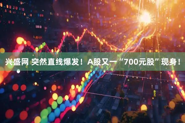 兴盛网 突然直线爆发！A股又一“700元股”现身！