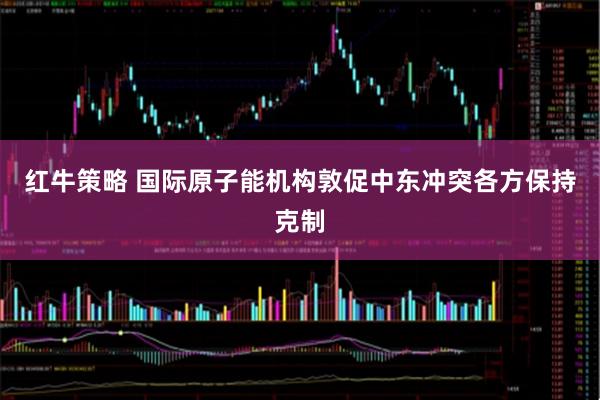 红牛策略 国际原子能机构敦促中东冲突各方保持克制